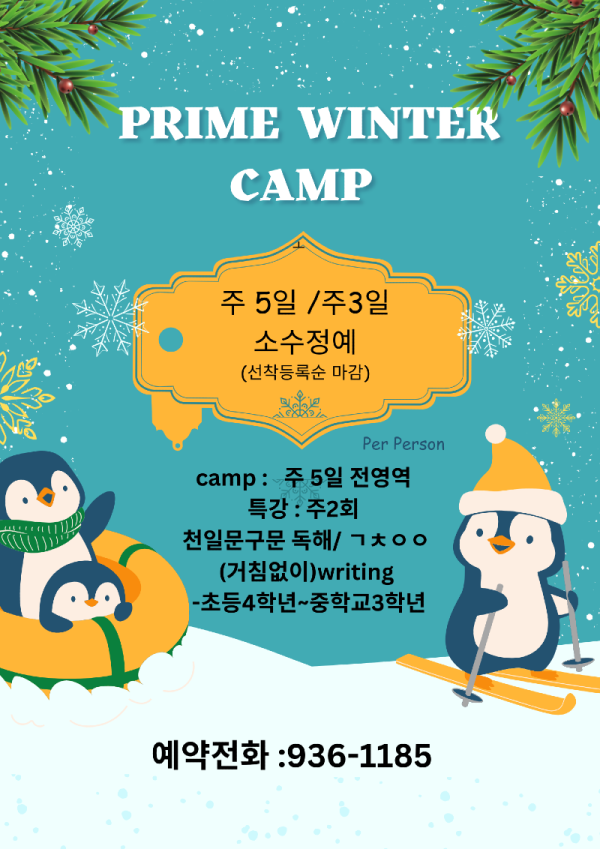 Illustrated Fun Christmas Penguins Winter Camp Flyer (2).png